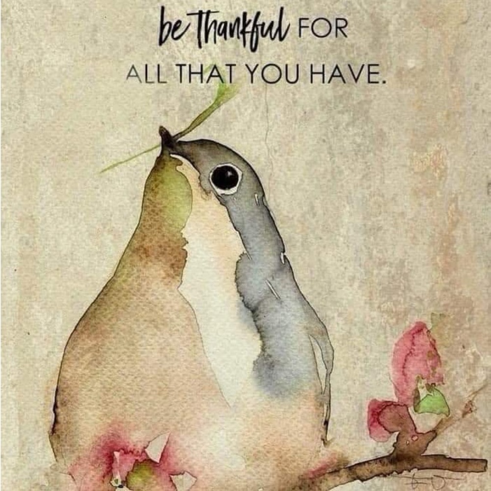 Meet your Posher, Robyn